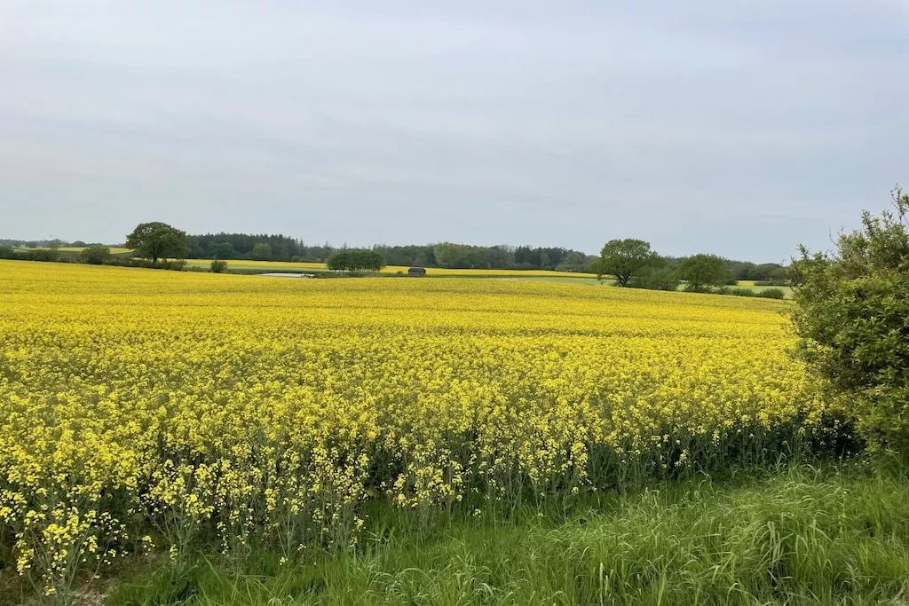 494865-Nicht getaggt