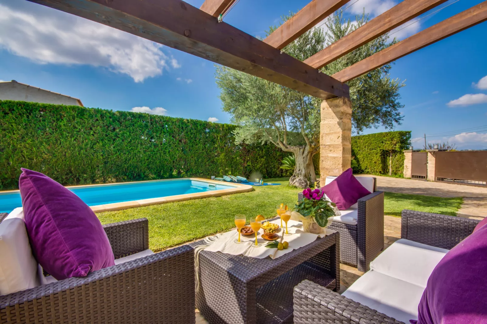 Finca Es Puput-Terrace