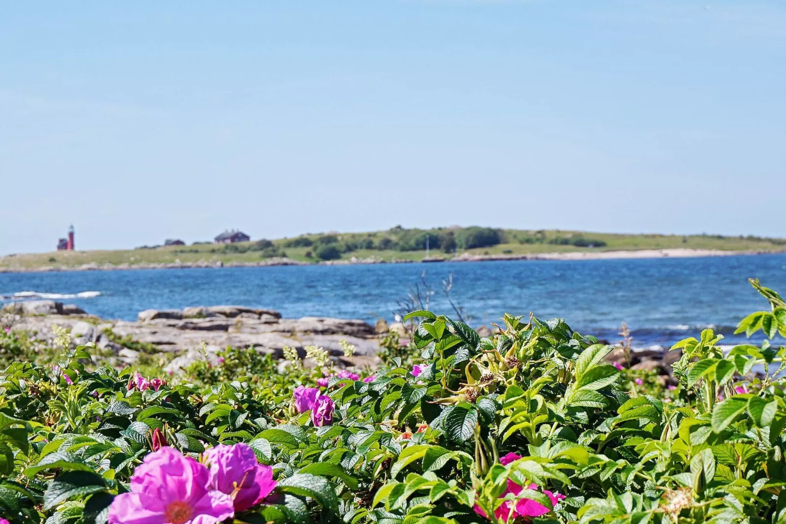 5 person holiday home in Halmstad-By Traum-Not tagged