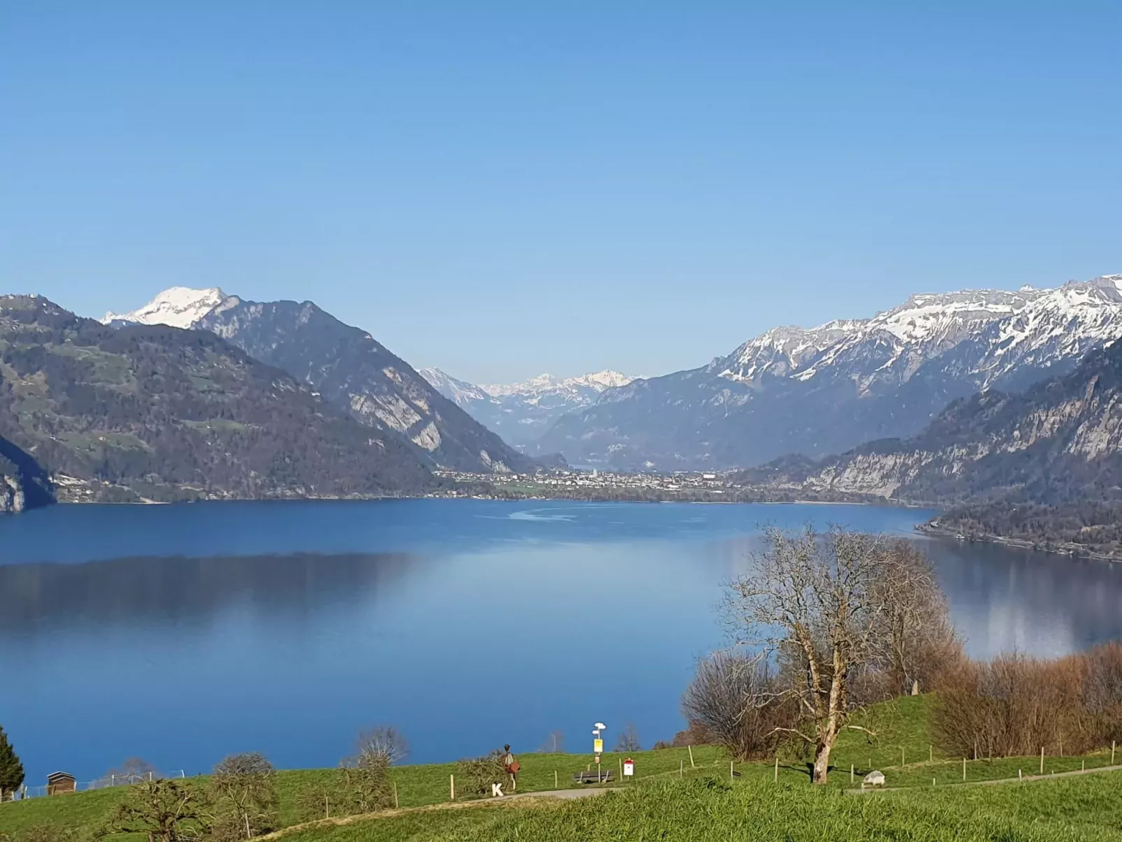 Panoramaferienwohnung Waldkircher-Draußen