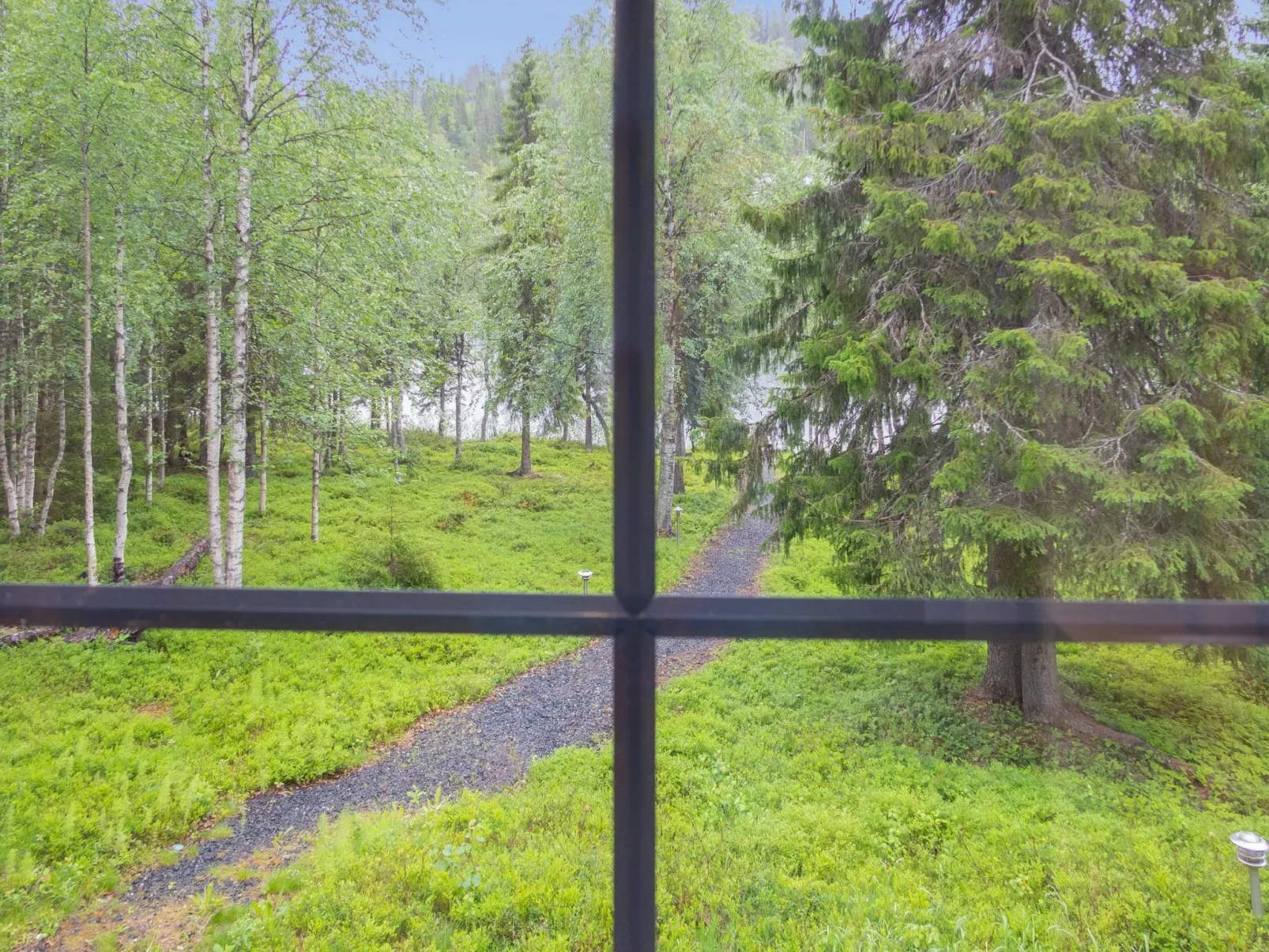 Muuttohaukka-Outside