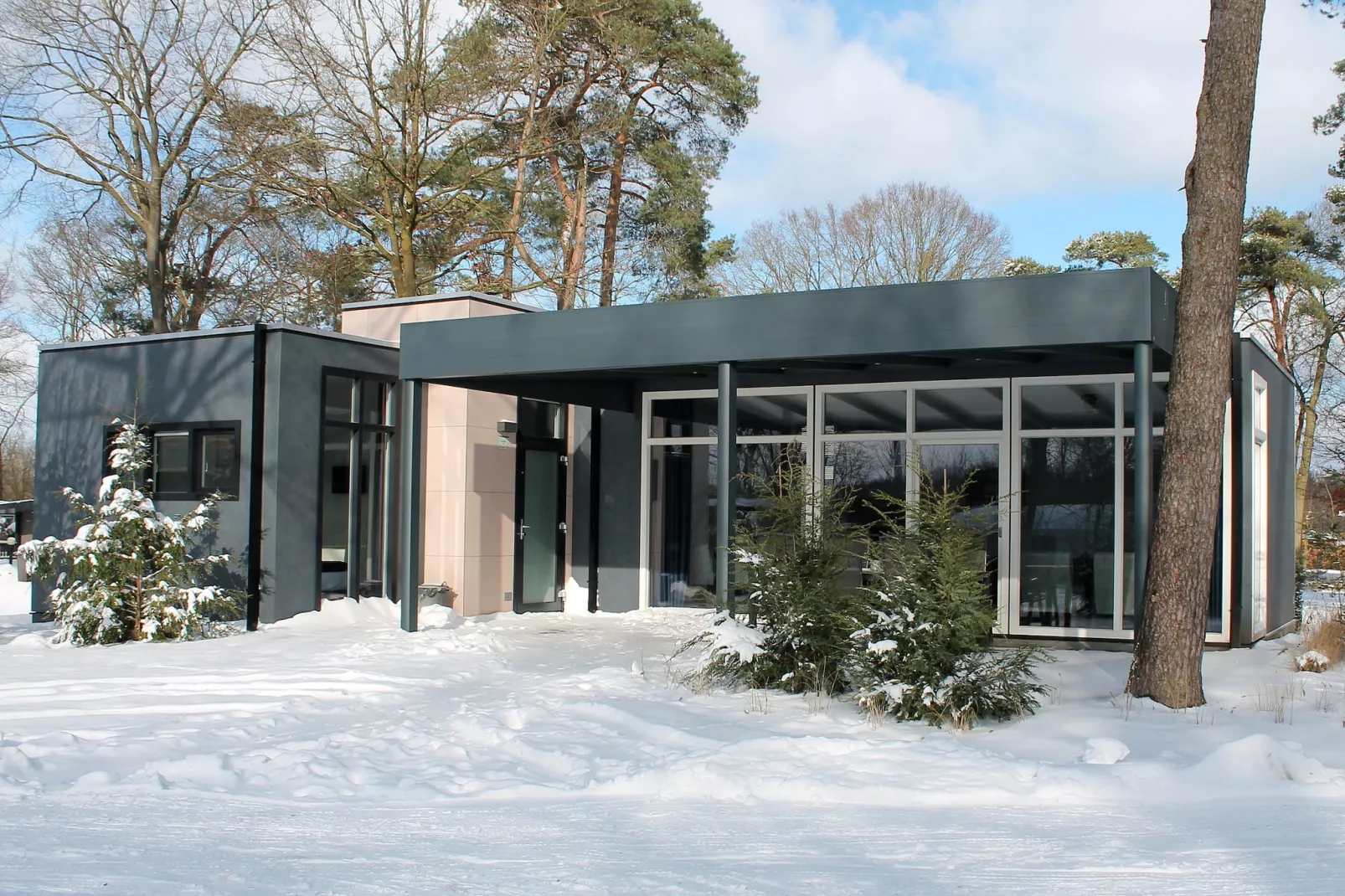 Forest Villa | 2 - 6 people-Exterior winter