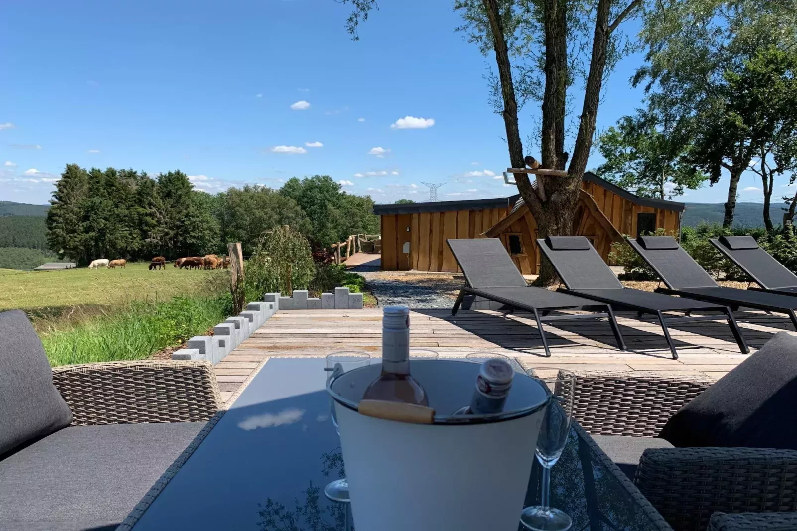 Chalet Bulle-Terrace balcony