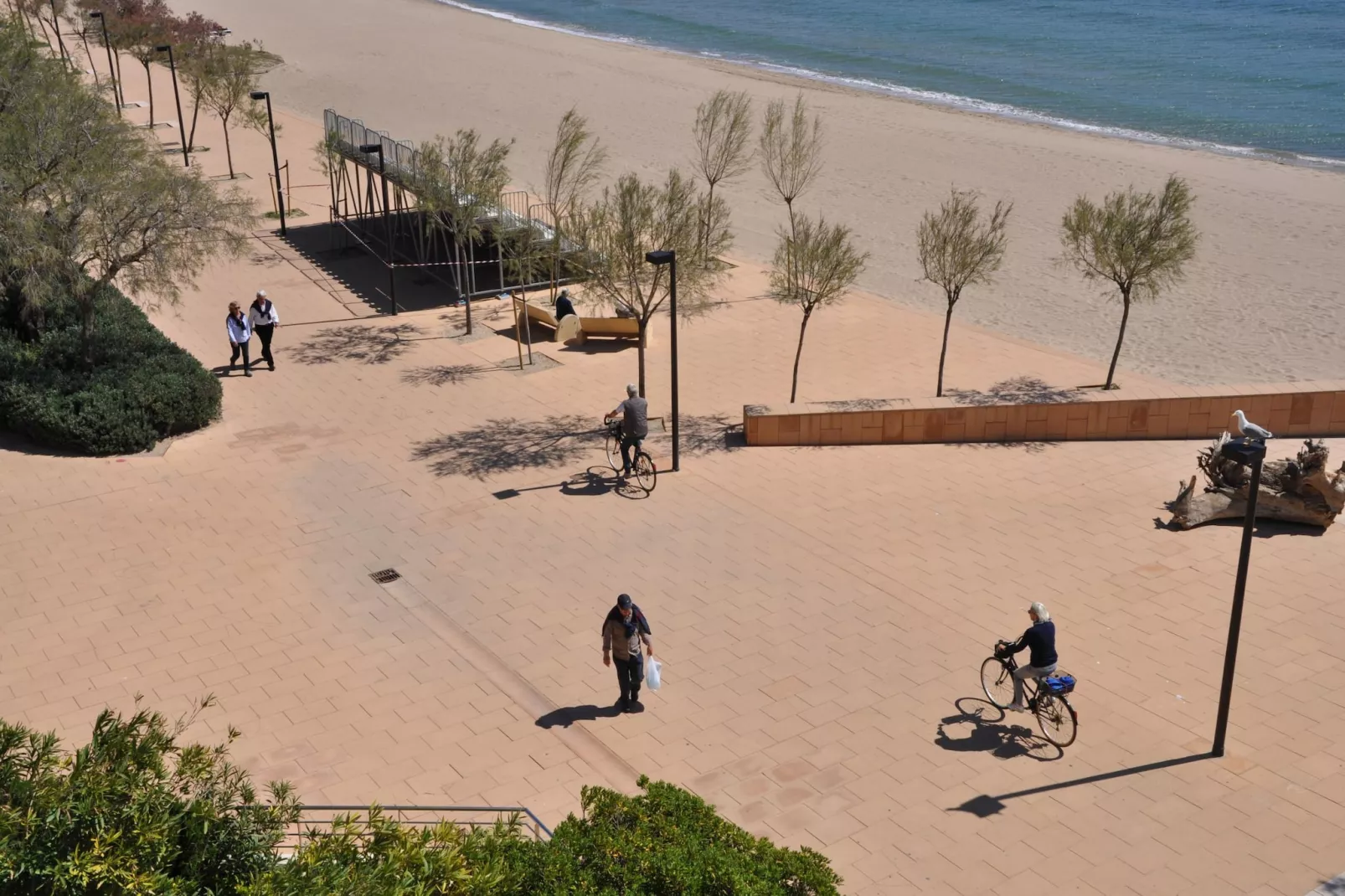 1236 CARLA MAR 50m playa-Areas summer 1km