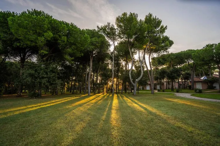 Holiday resort Riva degli Etruschi San Vincenzo-Ville Comfort  Trilo-SANGIOVETO 200 m dal mare-Gardens summer