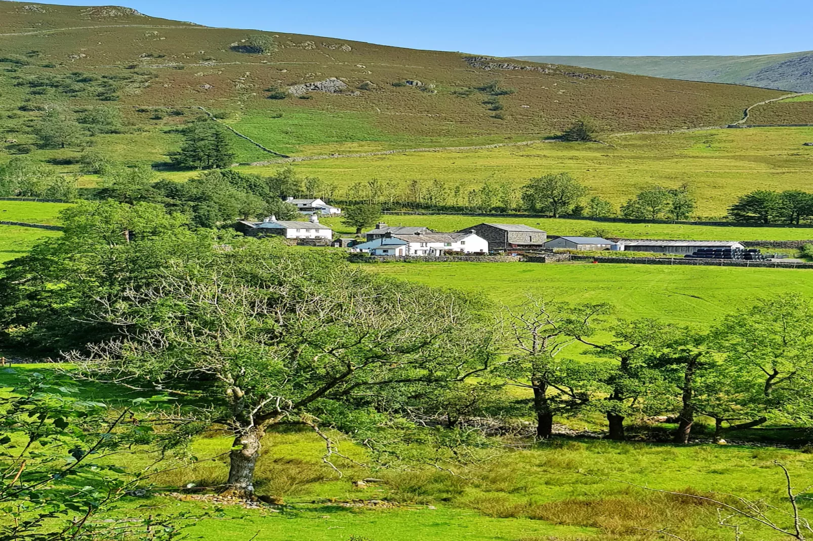 No.2 Town Head Cottages-Gardens summer