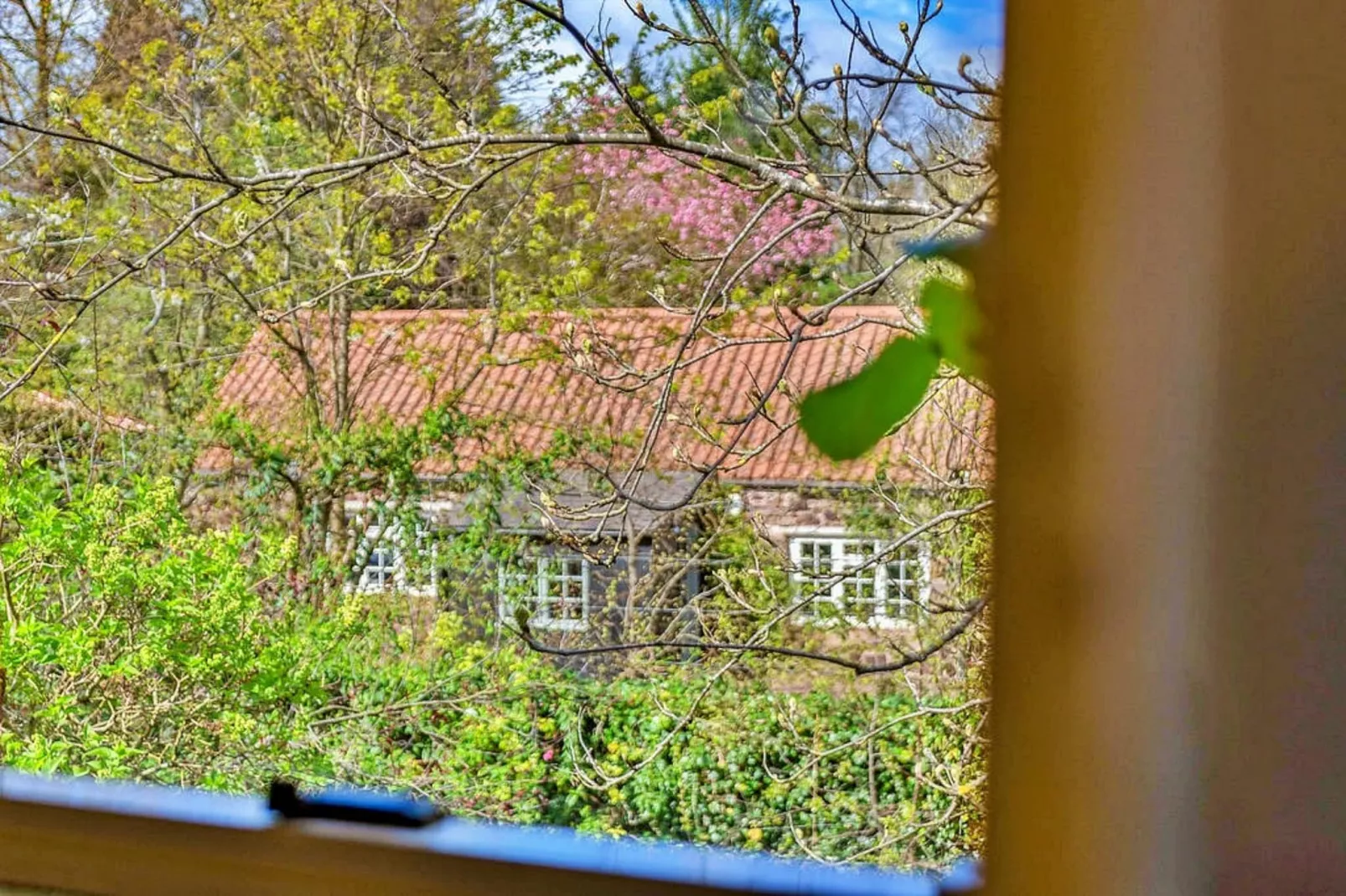 The West Wing at The Mill House-Gardens summer