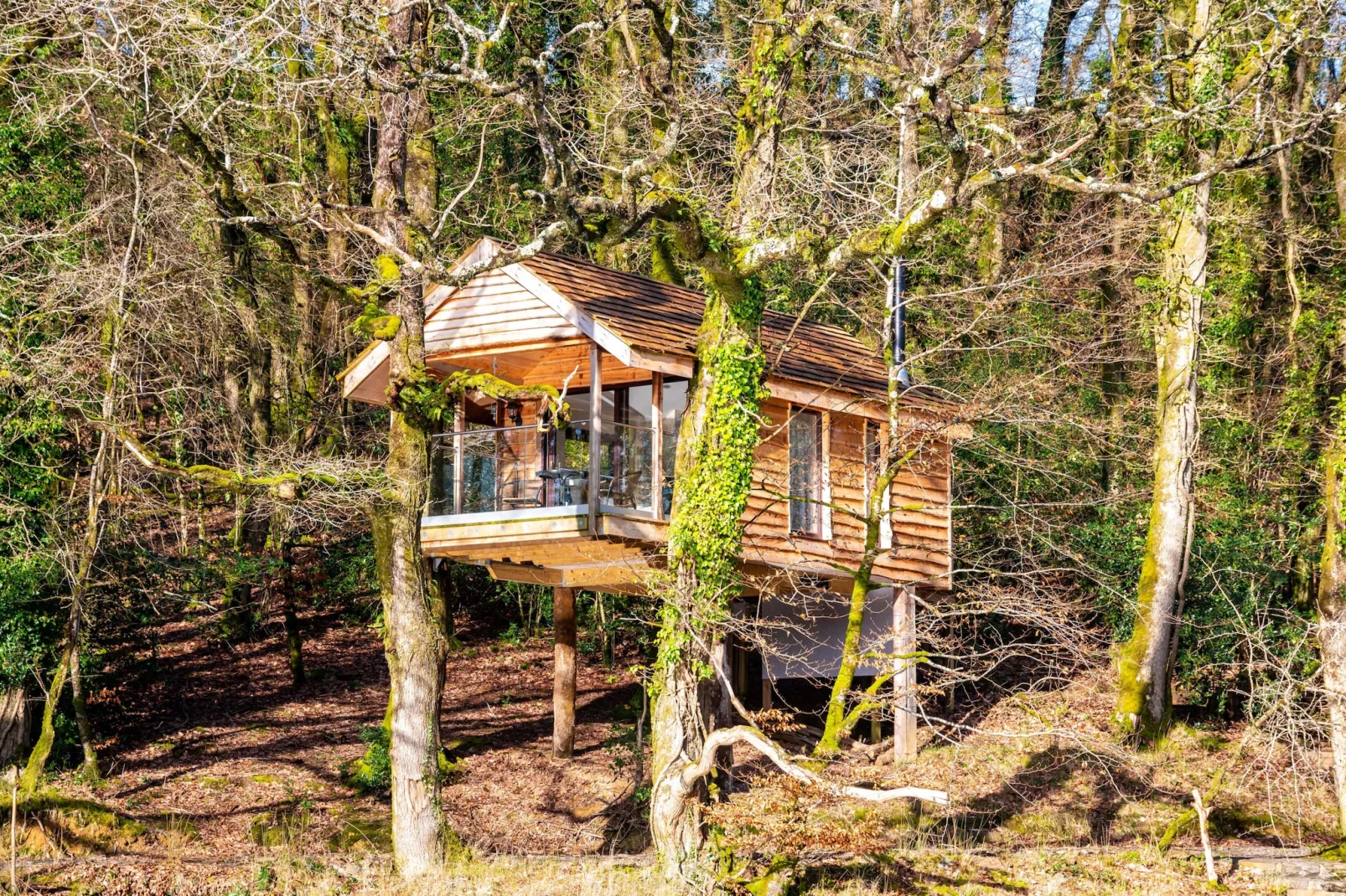 Yeworthy Eco-Treehouse-Außenbereich
