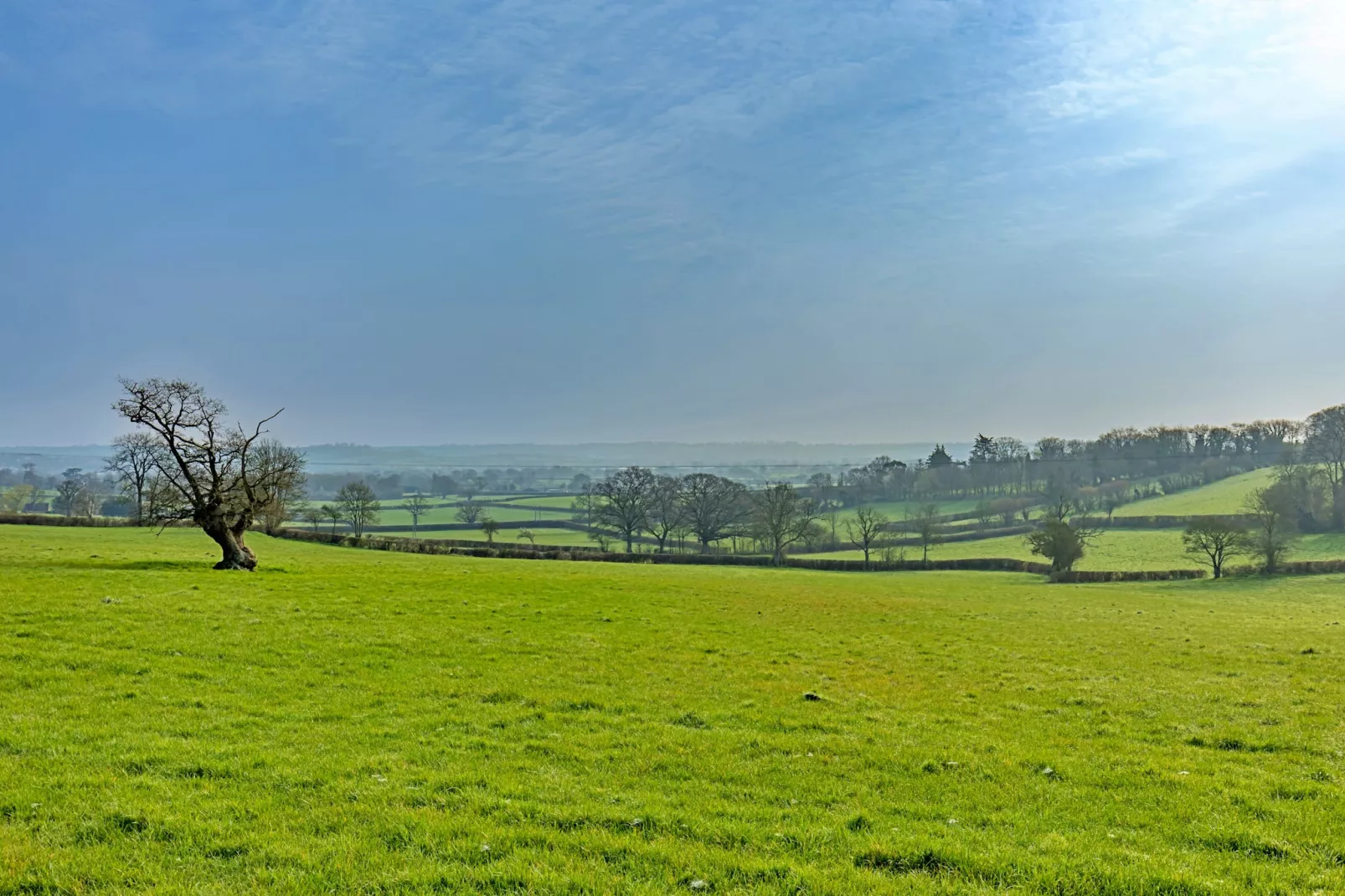 Fives Court Cottage-Outdoor