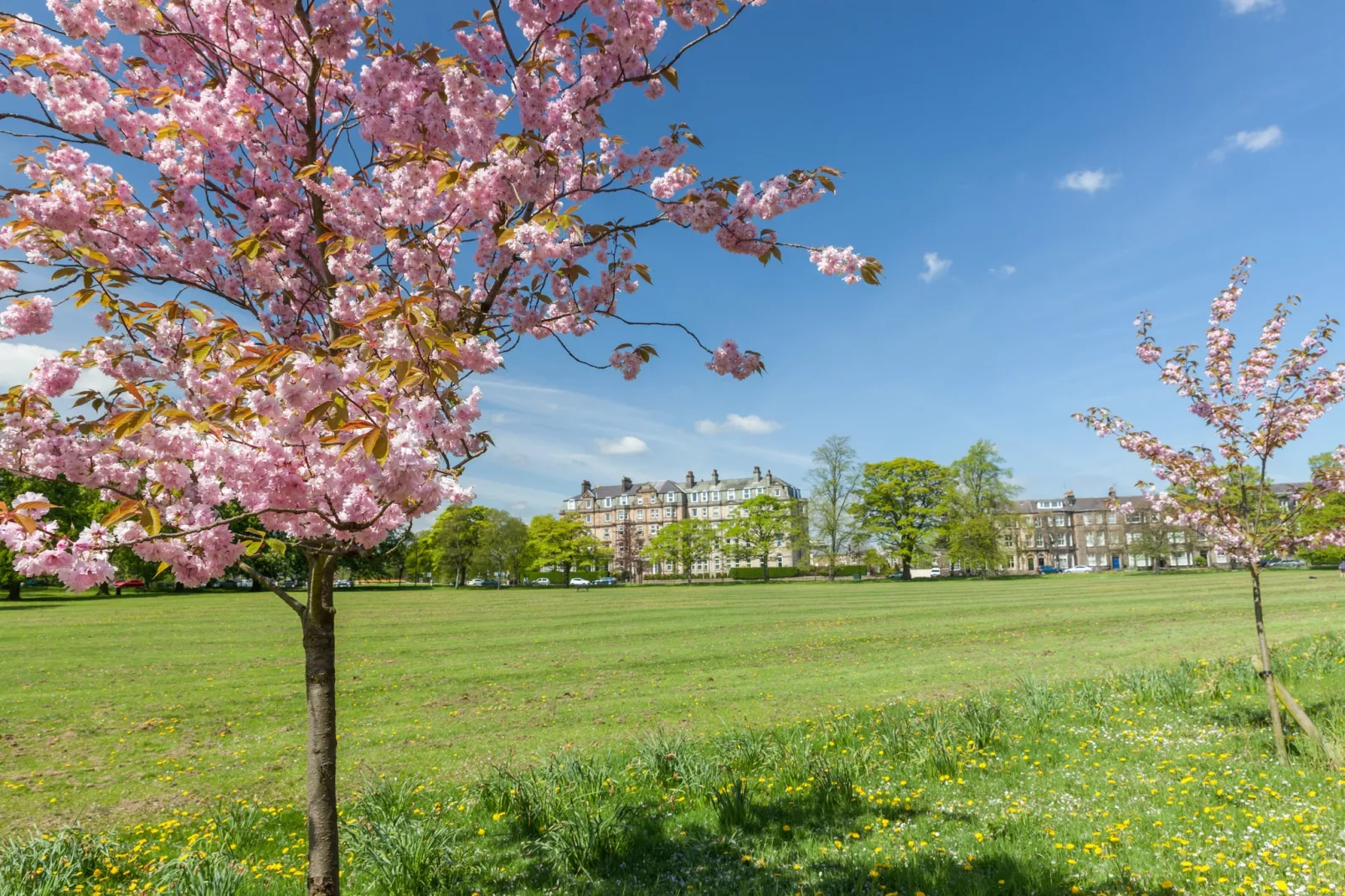 The Regency-Outdoor