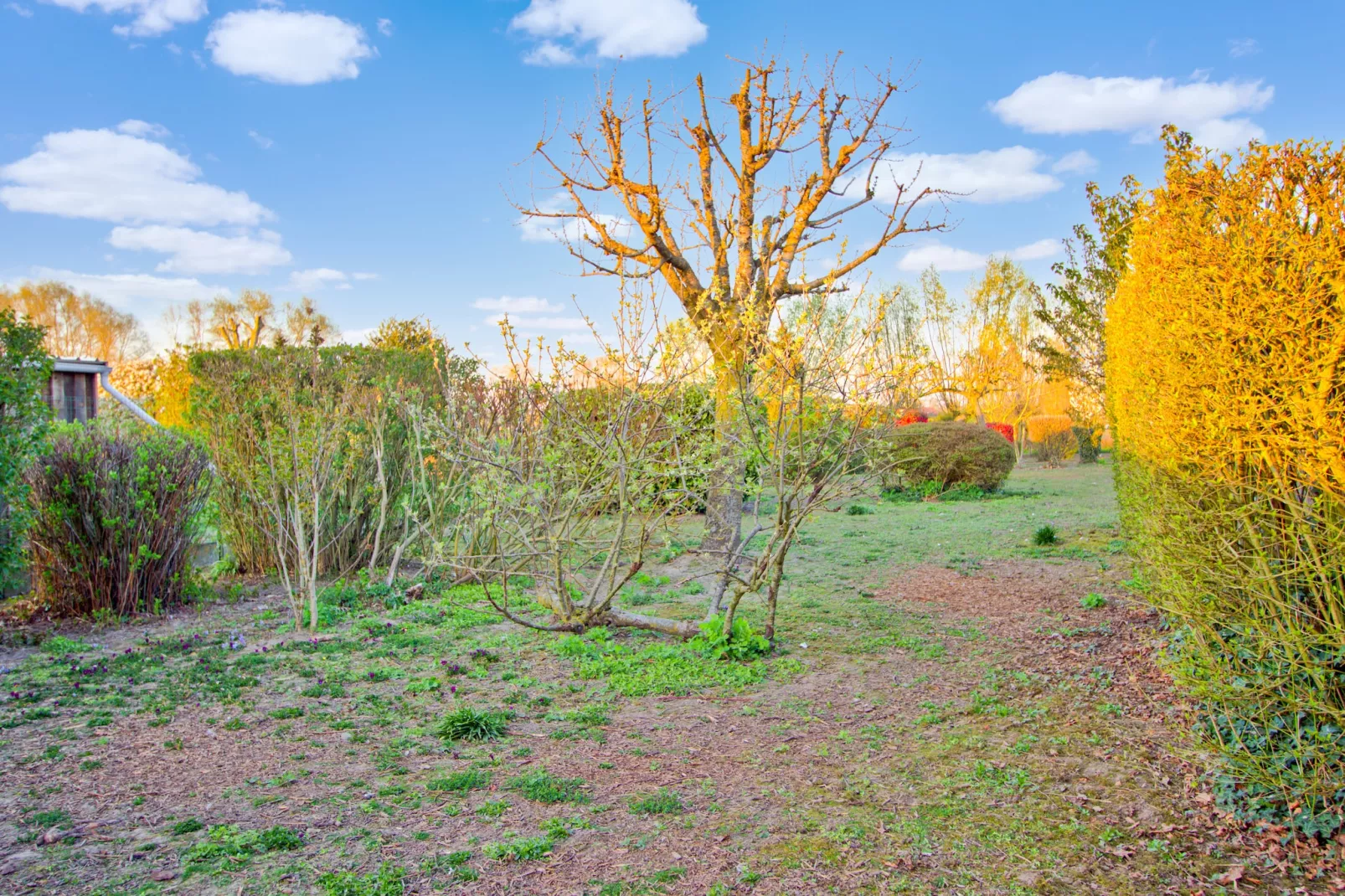 't Bloemenhof-Jardin d'été