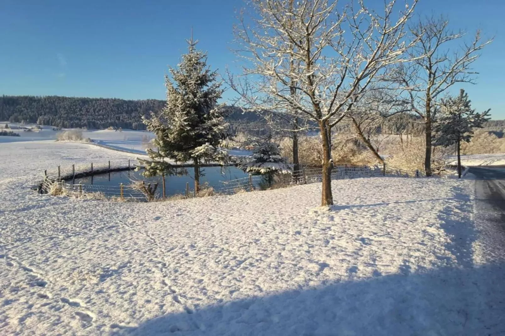 Haus Epting-Zones hiver à 20 km