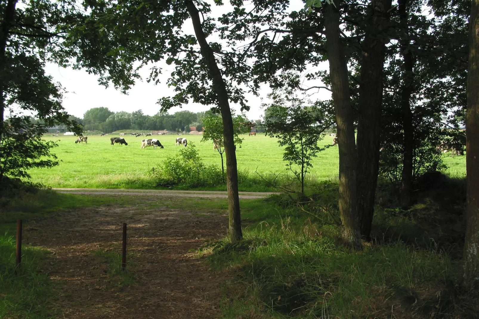Vakantiepark Herperduin 17-Gebiete Sommer 1 km