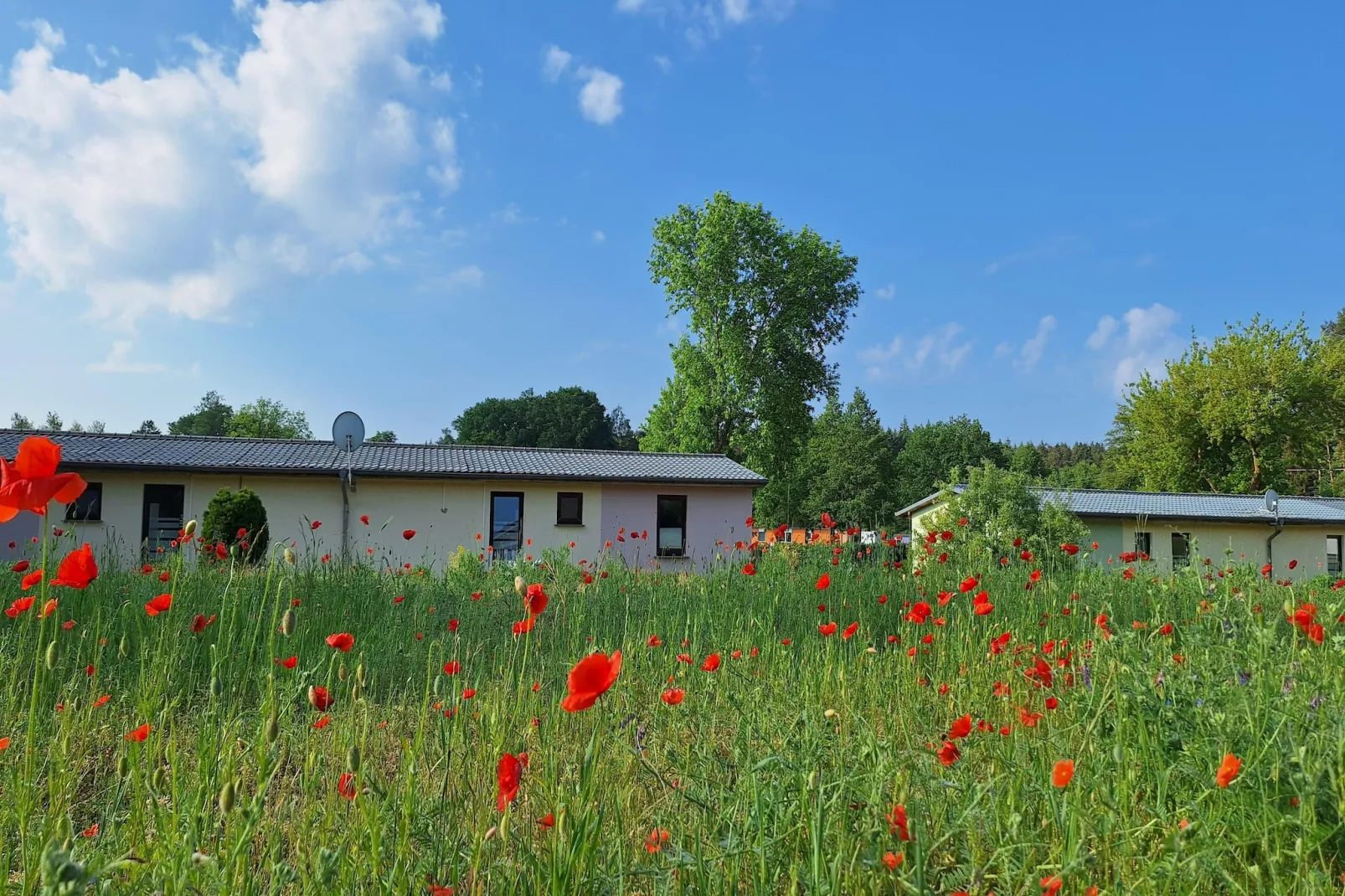 Ferienwohnung Seeblick-Aussicht Sommer
