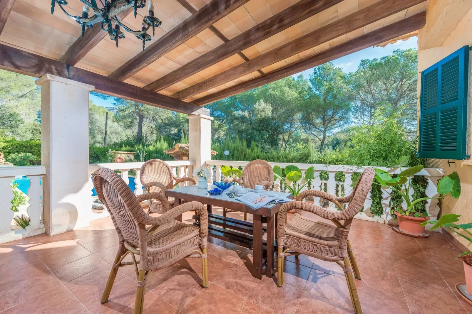 Els Pins - Terrasse/Balkon