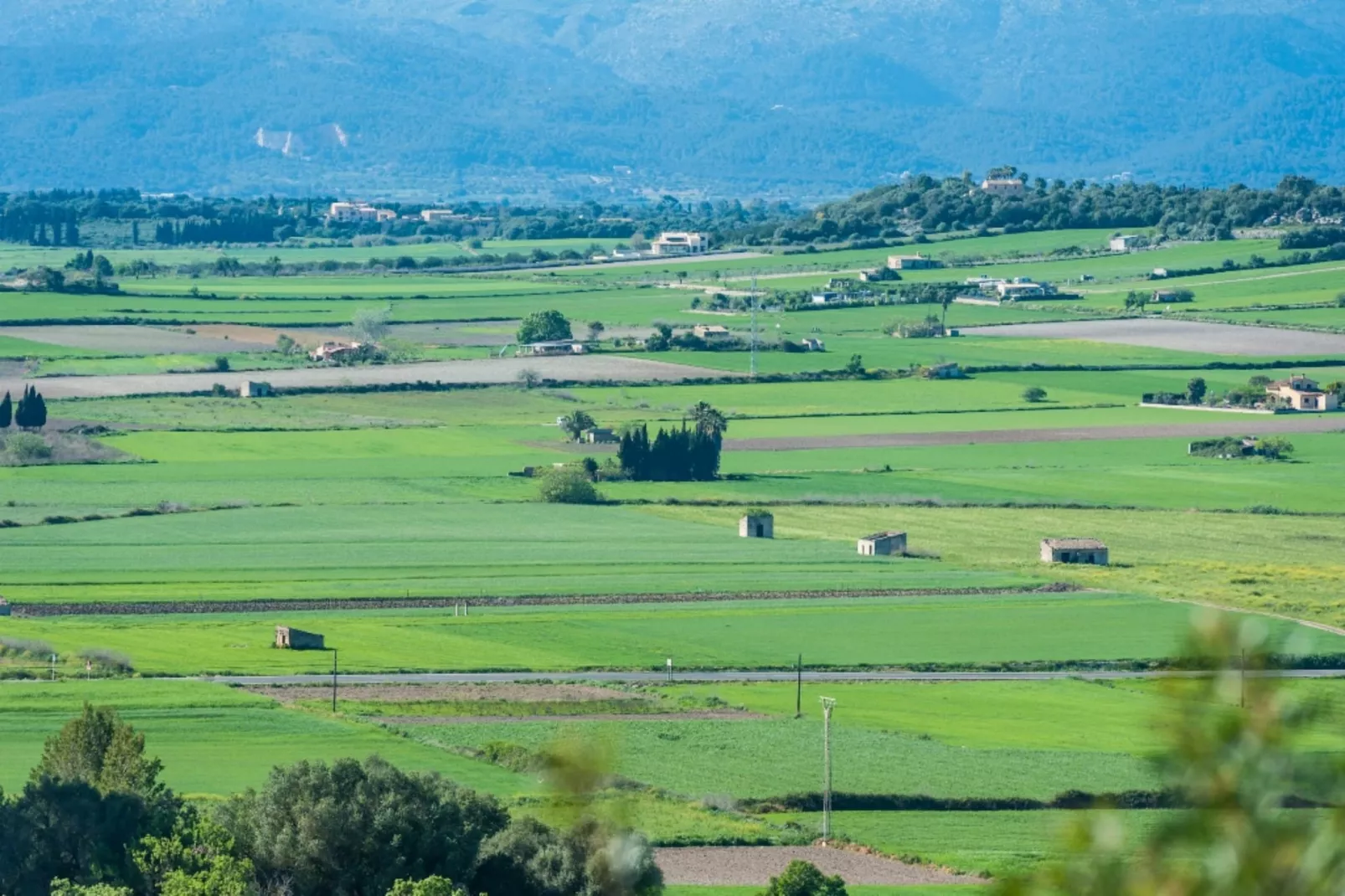 Son Morro-Gebiete Sommer 5 km