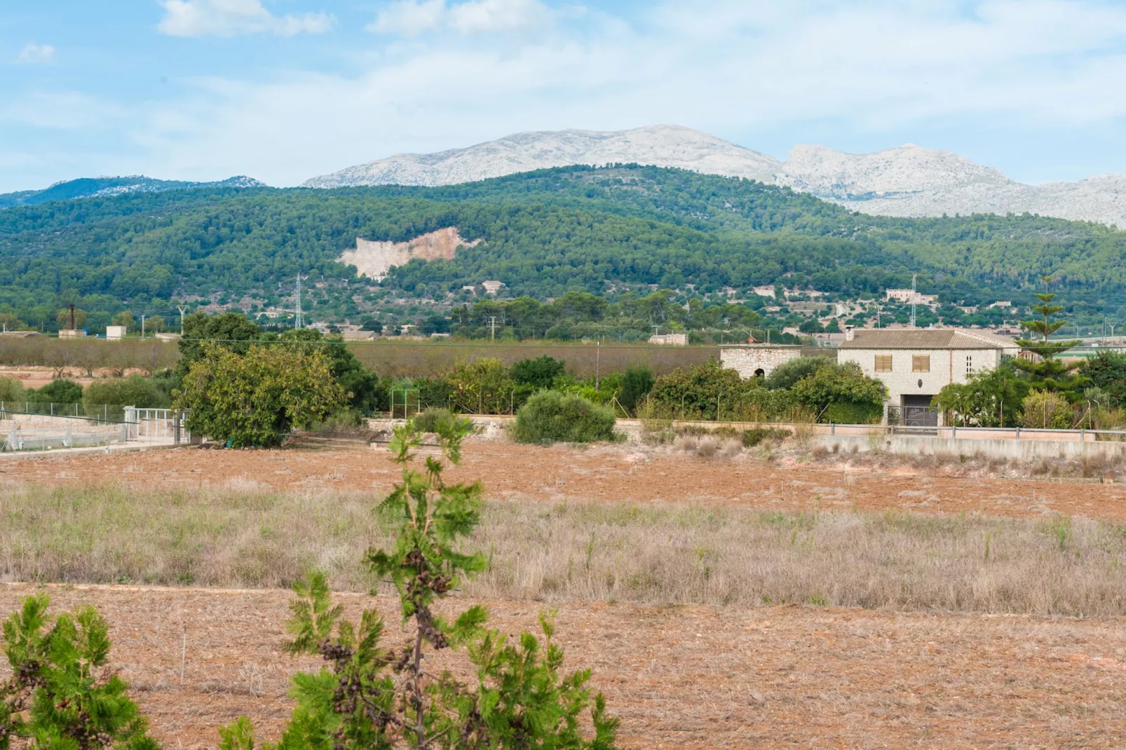 Can PuÇa (sa Pobla)-Image-tags.