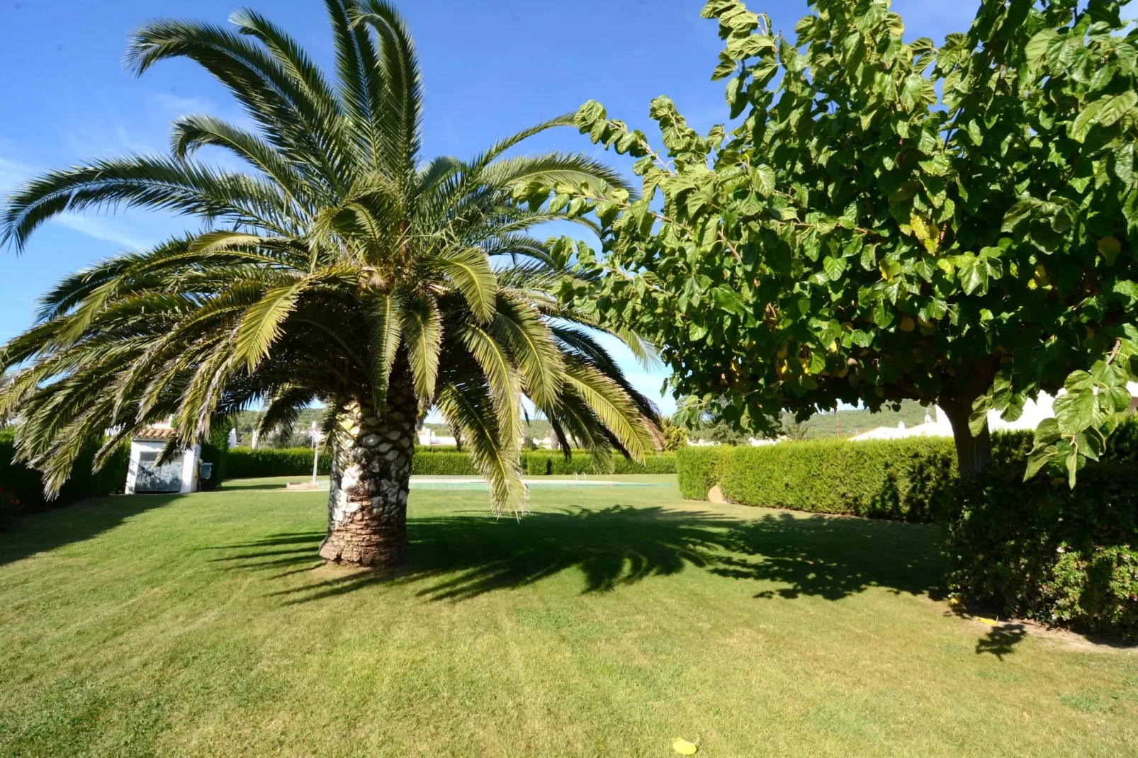 LES ACACIES 10-Gardens summer