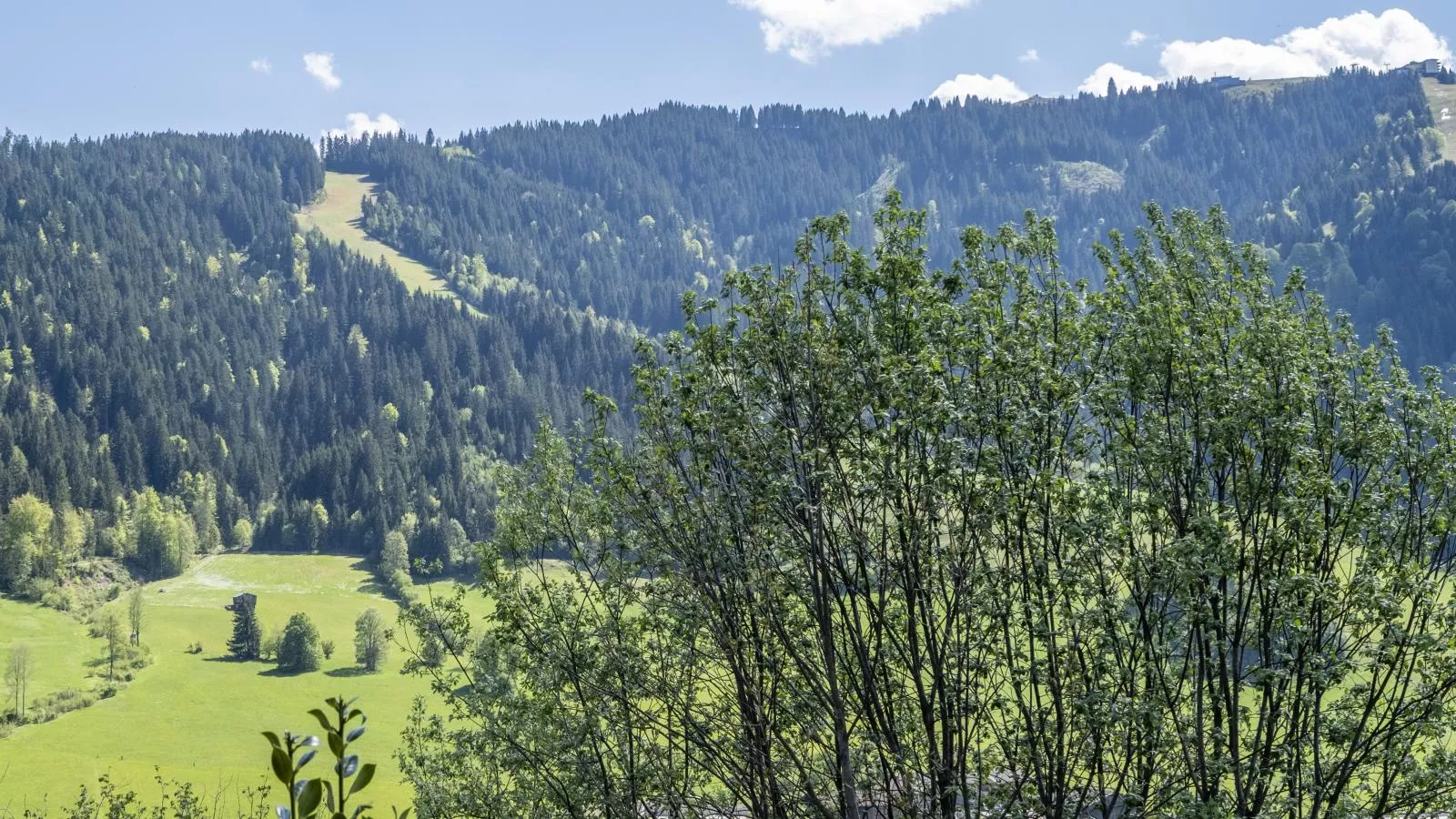 Berghof-Aussicht