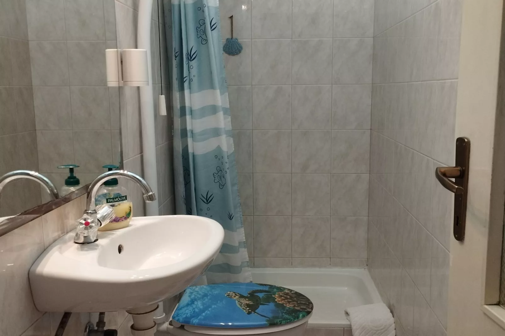 Apartments Gorana - Two Bedroom Apartment with Terrace(A1) (ST)-Bathroom