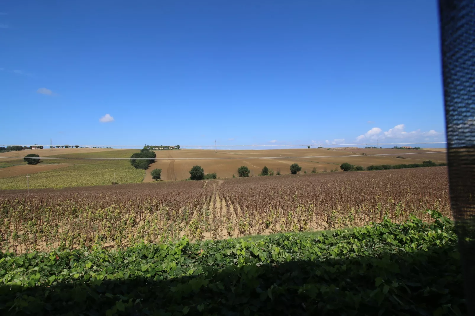 Ninfee-Aussicht Sommer