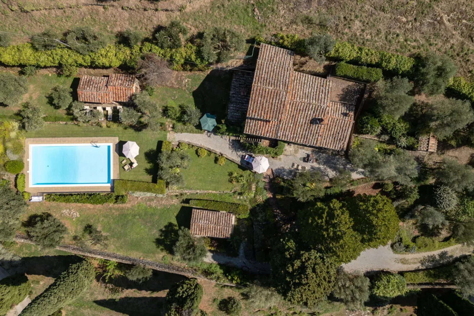 Villa delle Rose-Aussicht Sommer