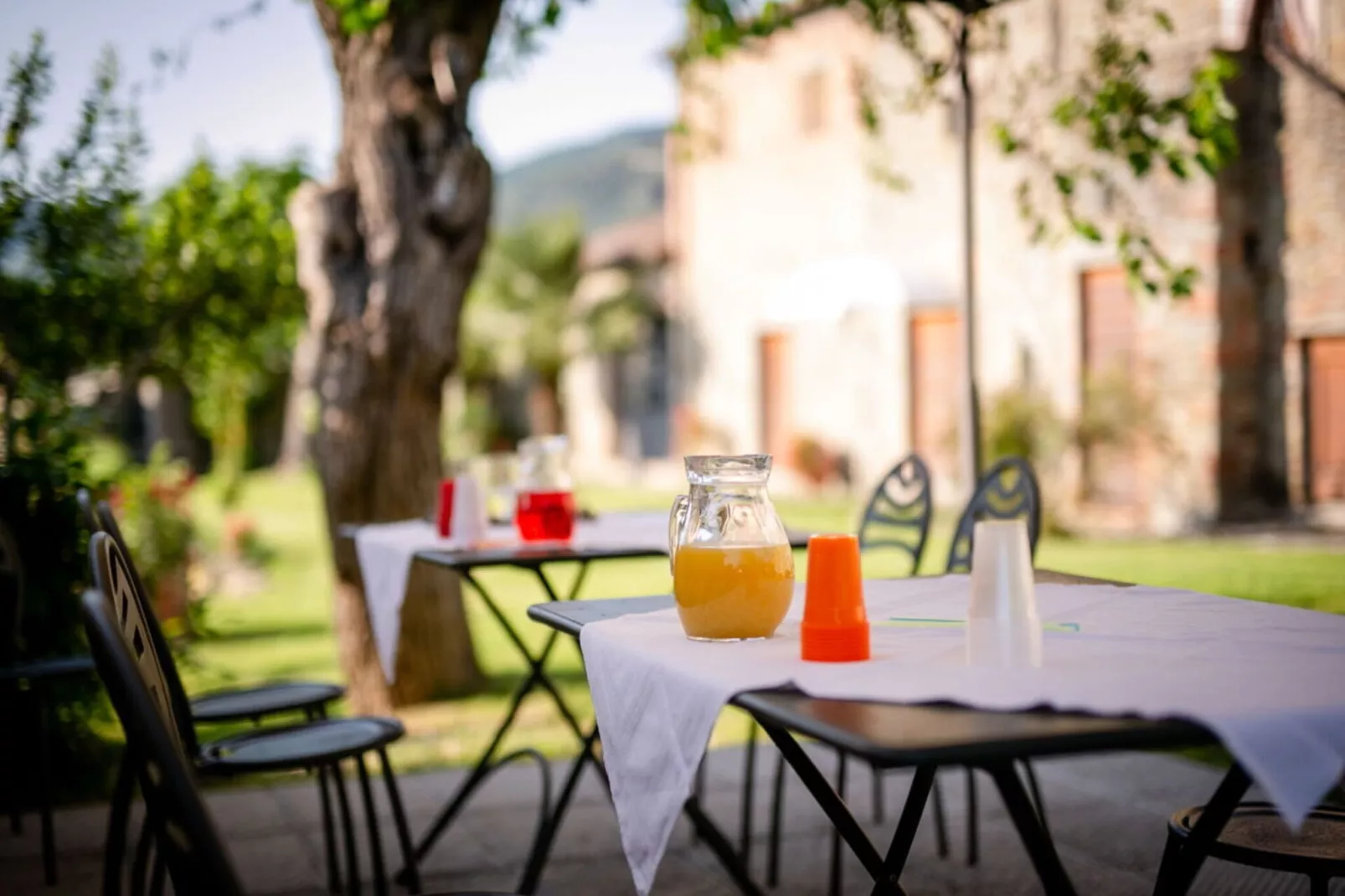Villa il Gelso-Gardens summer