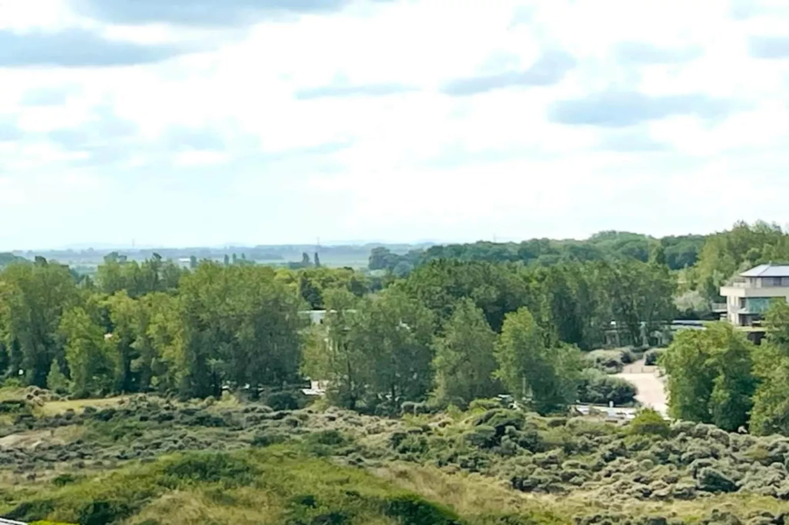 Mosselbank 0106-Areas summer 20km
