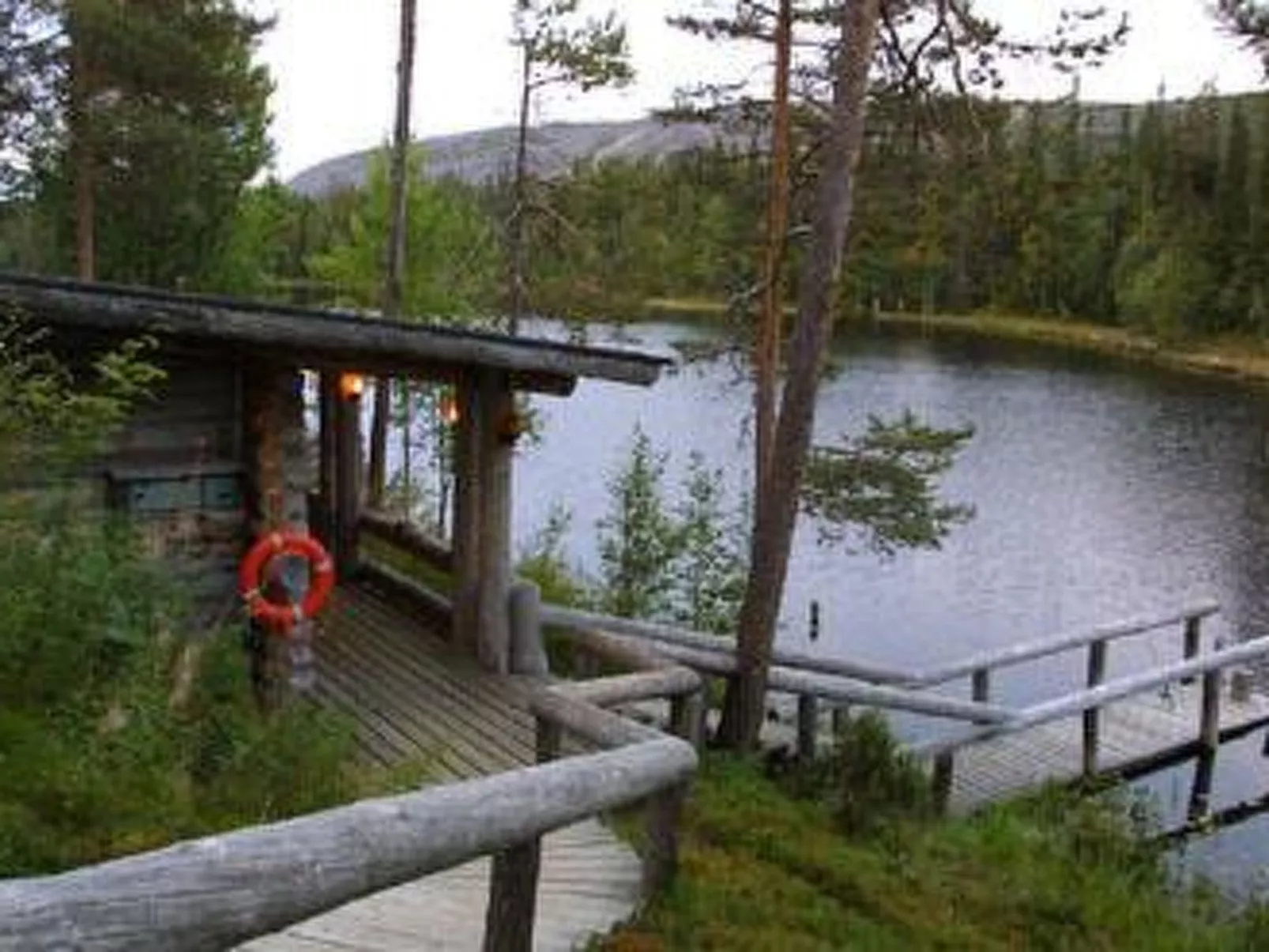 Metsä-luosto-Dehors