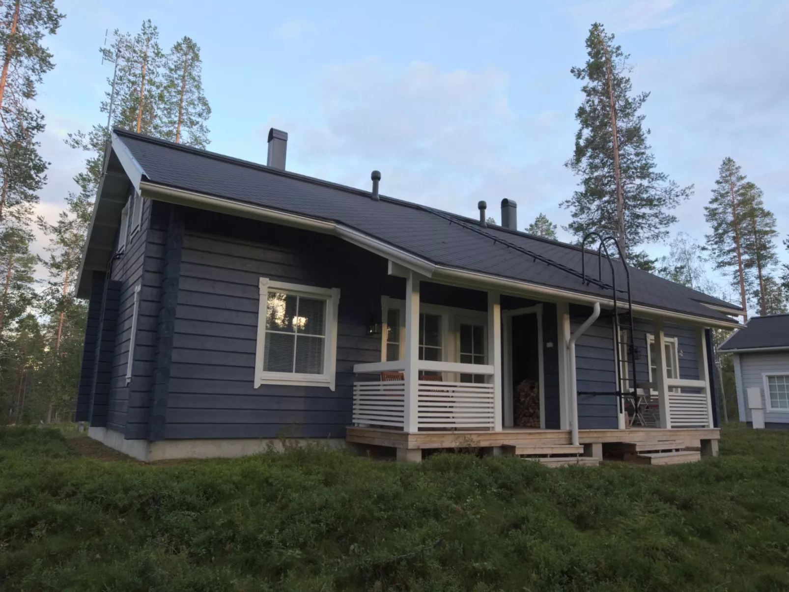 Ylläs mustikka b-Outside