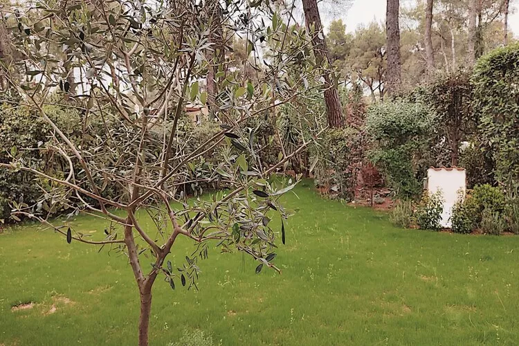 Villa Marella in Catellaneta-Gardens summer