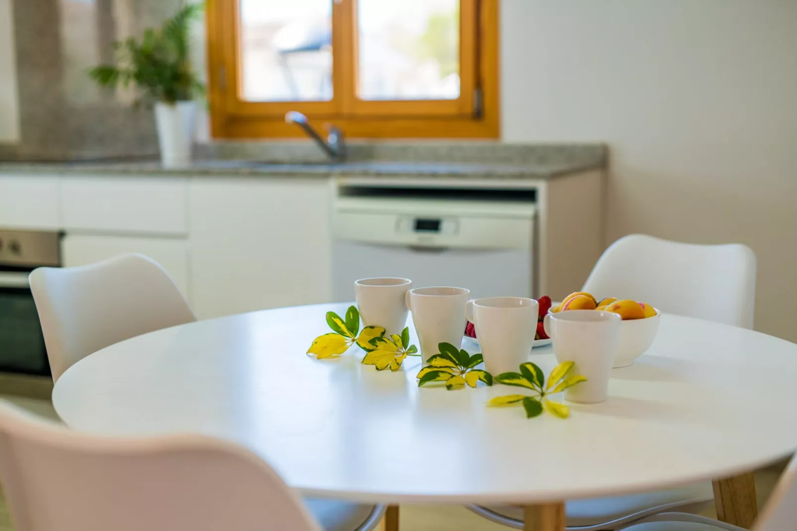 Pins 441-Ambiente