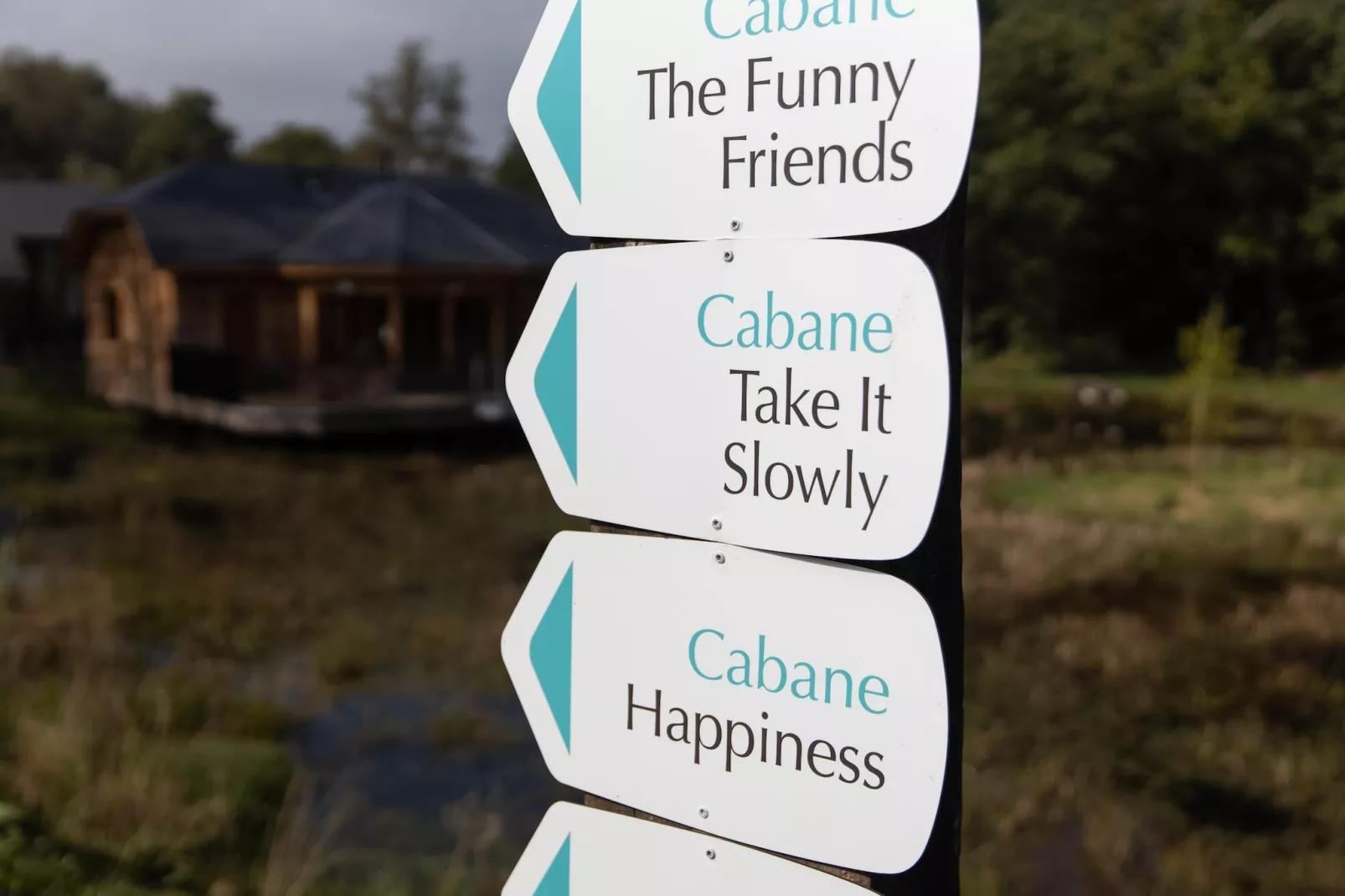Cabane The Early Birds-Ambiente