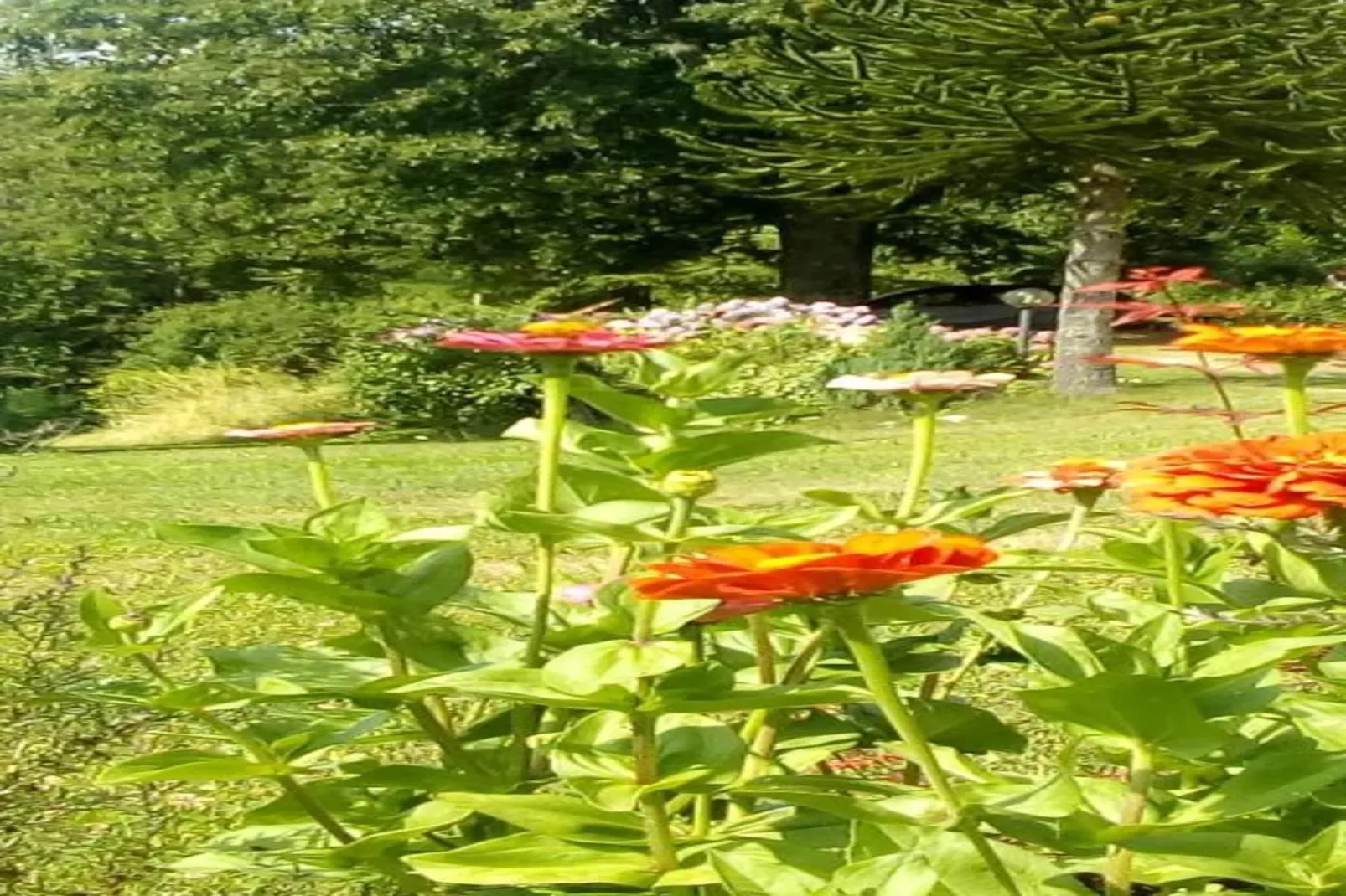 Casa di Lavanda-Gebiete Sommer 20 km