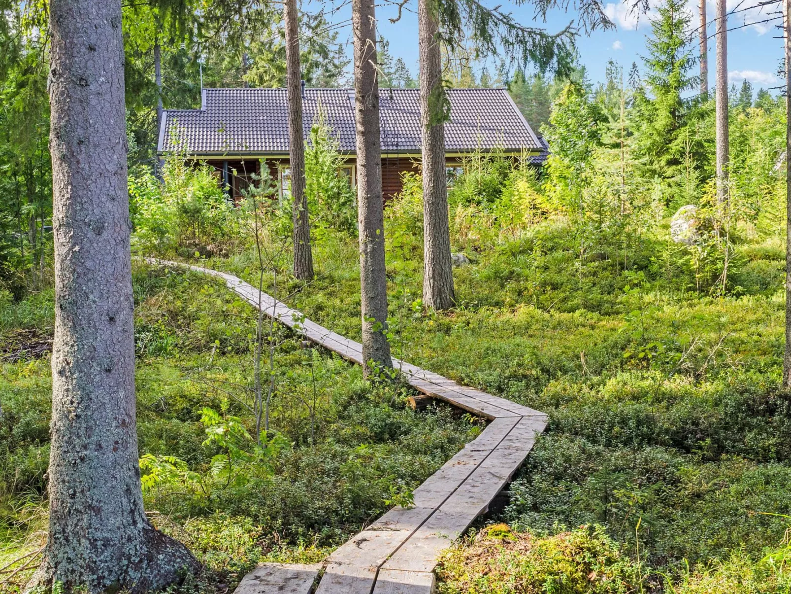 Villa usva-Outside