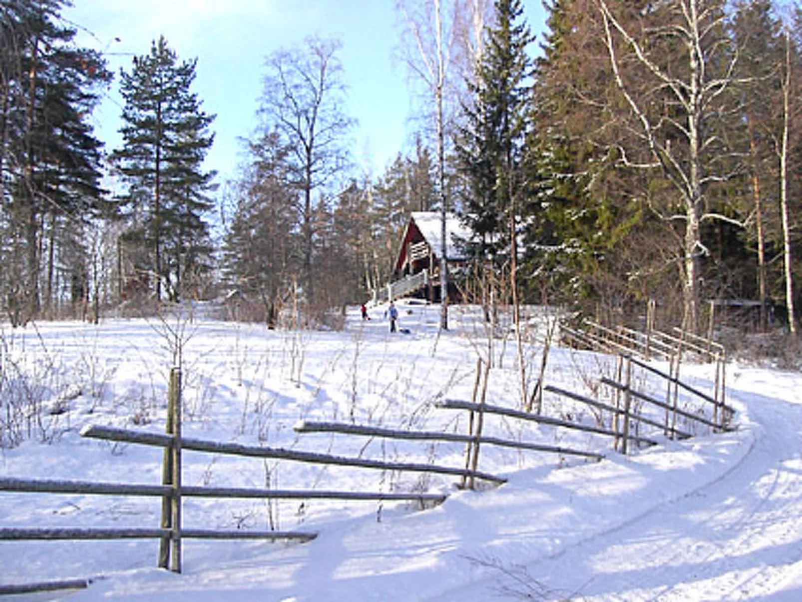 Villa vuorikotka-Outside