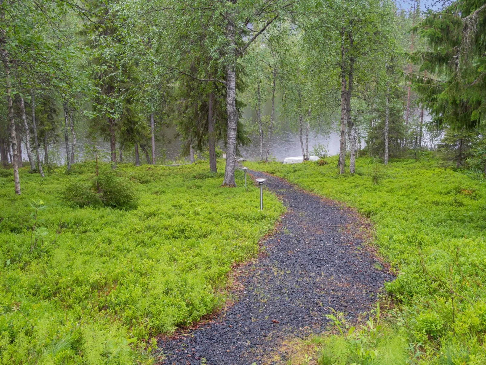 Muuttohaukka-Outside