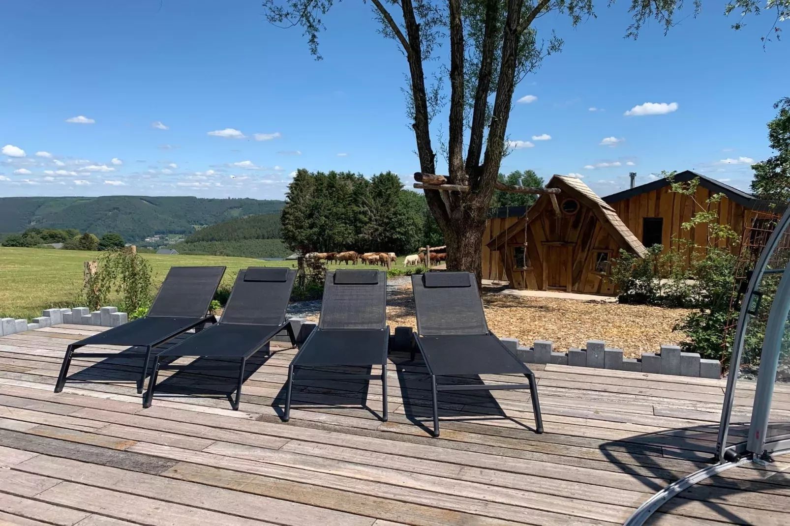 Chalet Bulle-Terrace balcony