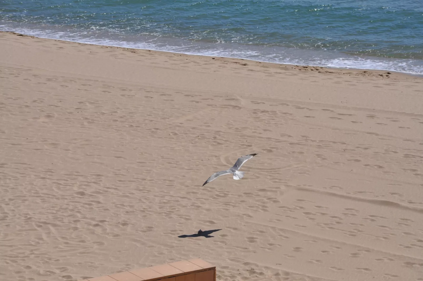 1236 CARLA MAR 50m playa-Areas summer 1km