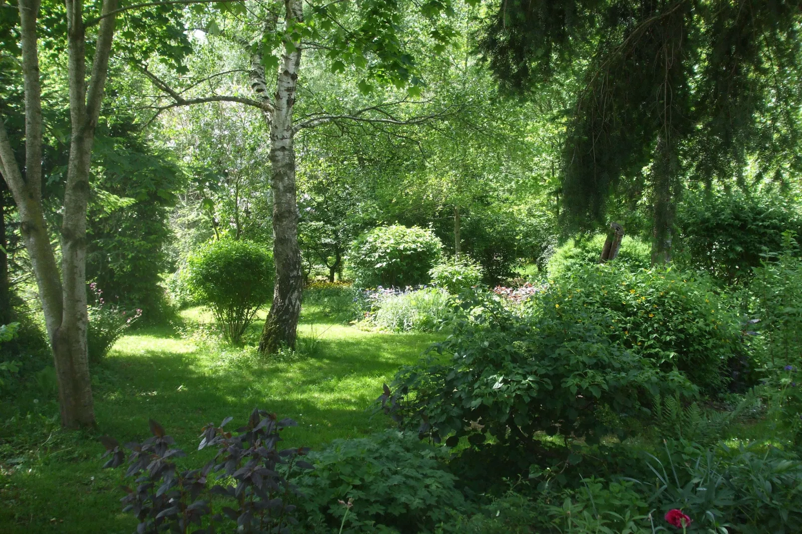 Le Dauphin bleu-Gardens summer