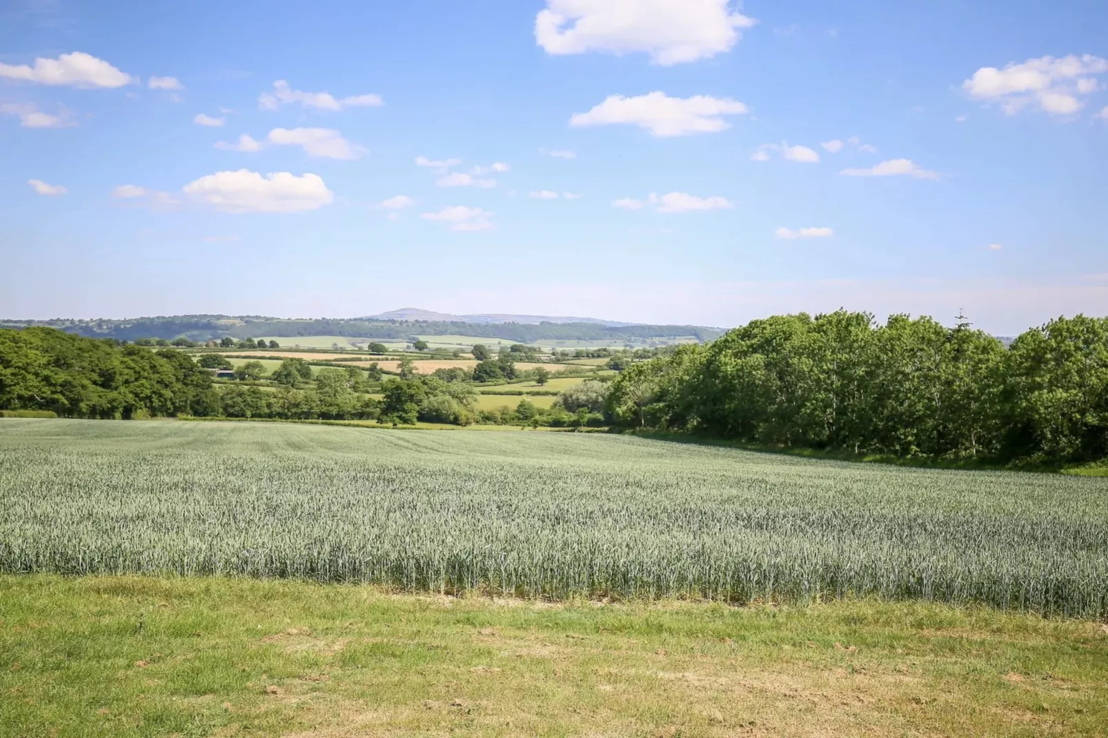 The Walton-Gardens summer