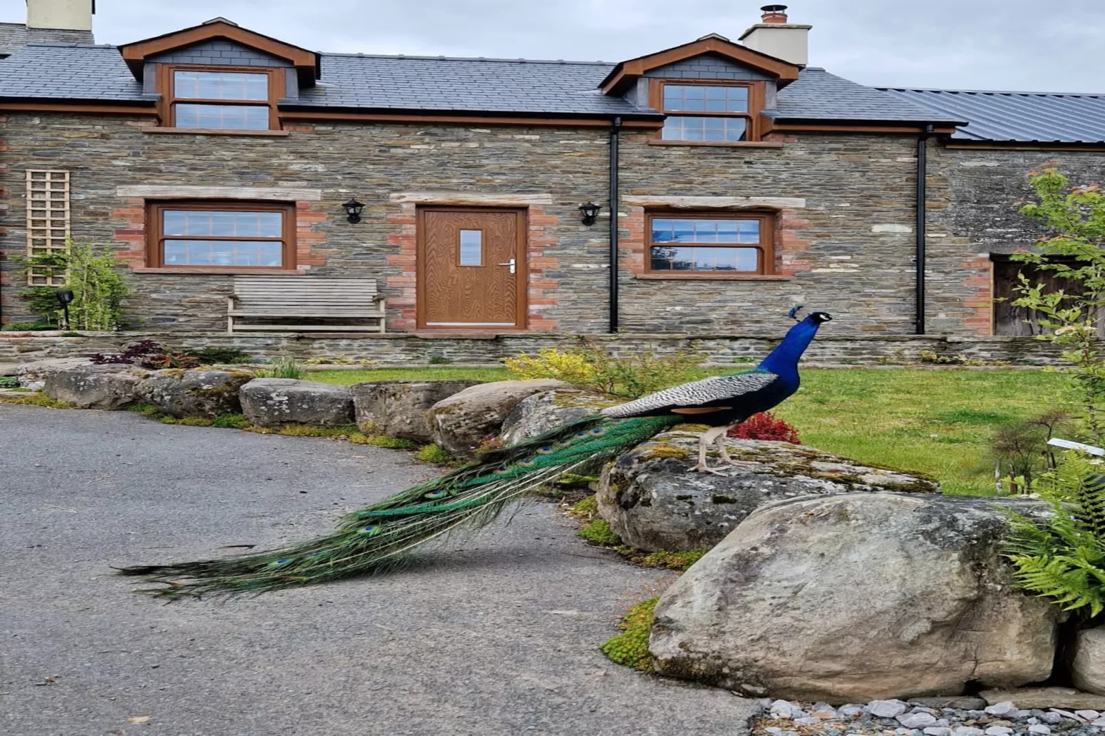 Coygen Cottage-Outdoor