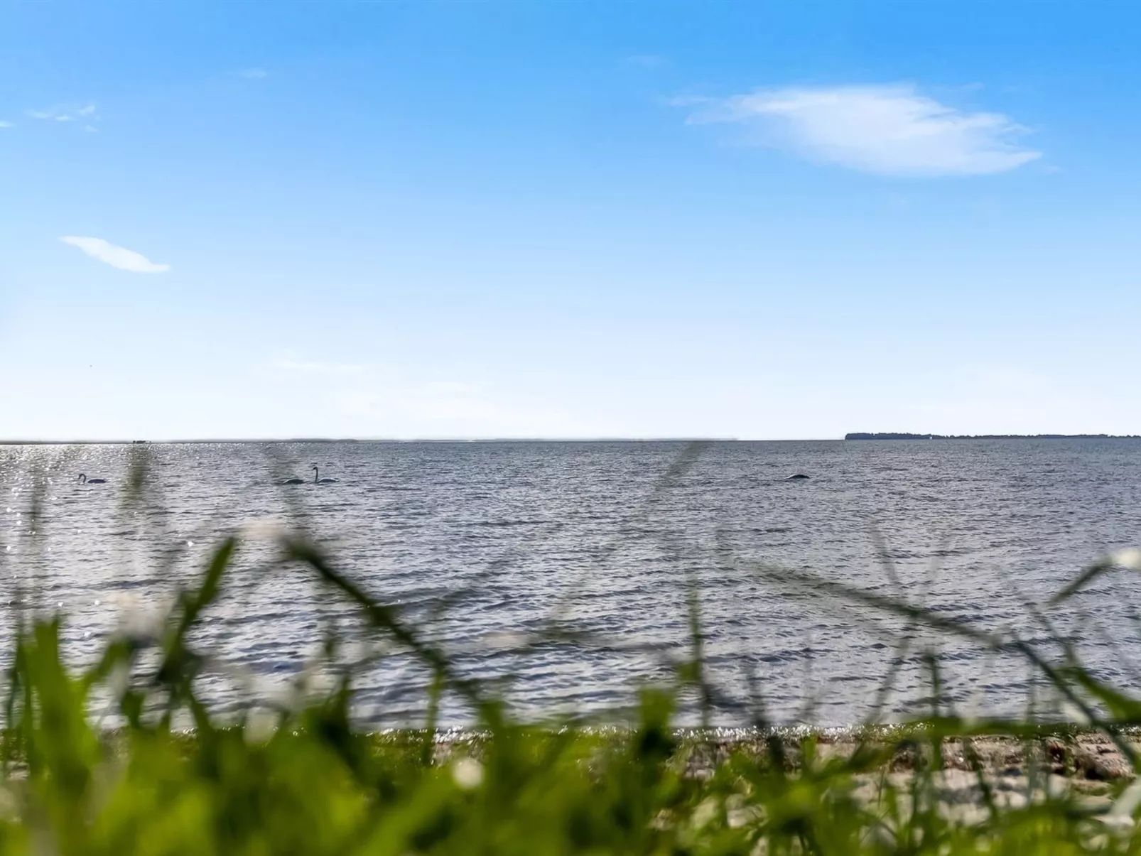 "Ørn" - 5m from the sea-Dehors