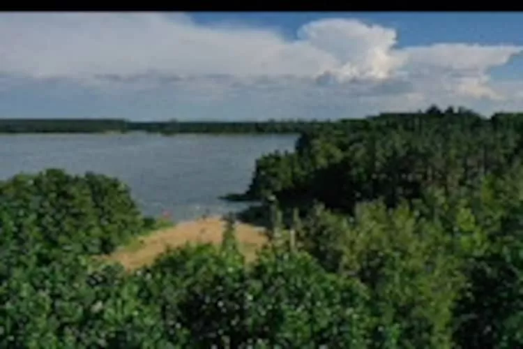 Ferienwohnung Seeblick-Aussicht Sommer