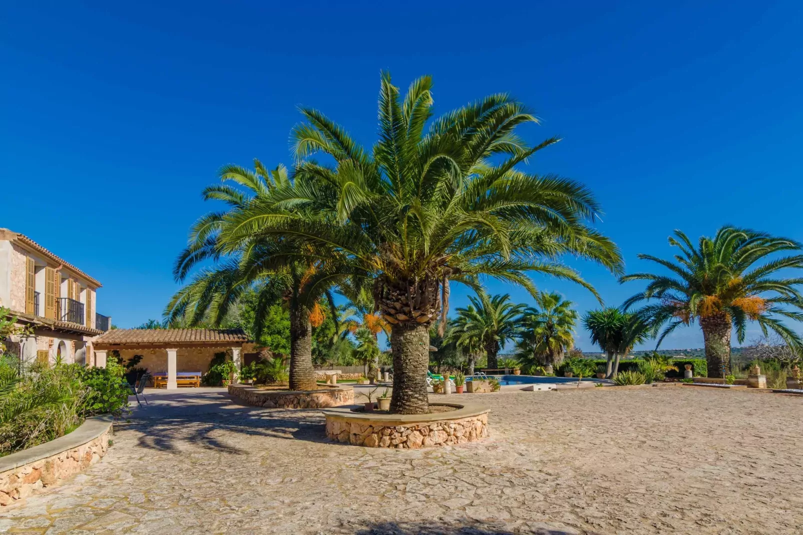 Es TurÓ - Exterior in summer