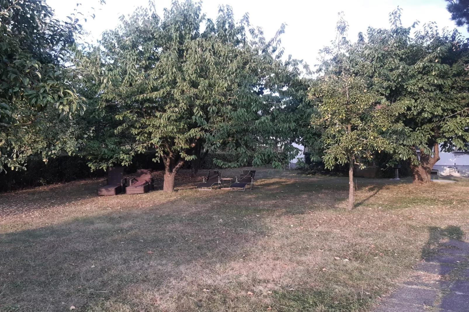 Ferienhaus am großen See-Gardens summer