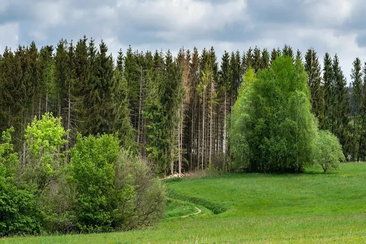 Chalet Premium-Areas summer 1km