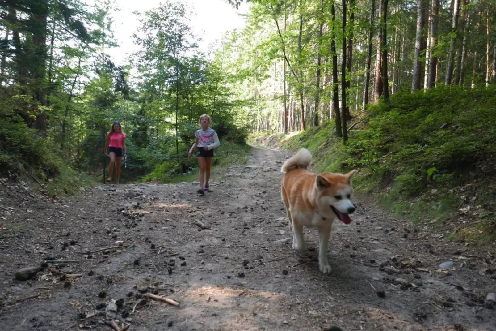 Green Valley Park 1-Areas summer 20km