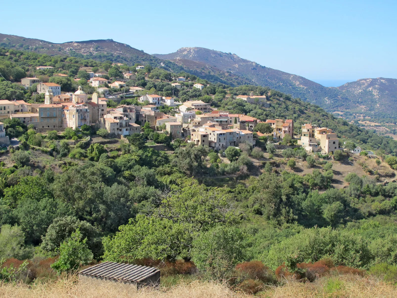 Casa Palmento-Area