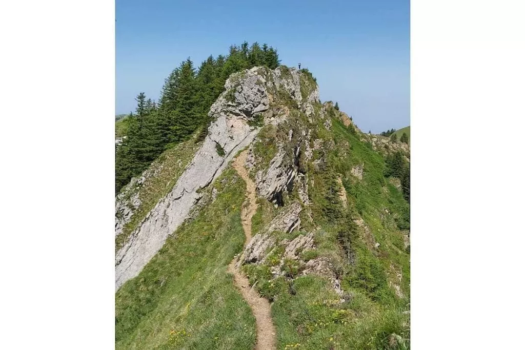 374386-Nicht getaggt